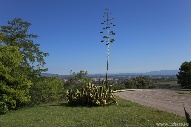 Castell de Olerdola
