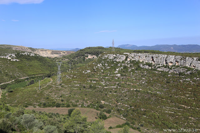 Olerdola