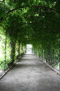 Арка в парке Шербрунн